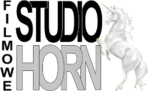 Studio Filmowe Horn